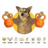 Kettlebell Sets, Strength Training Kettlebells Weight Set for Women, Vinyl Coated Kettle Bell for Home Gym Workout Weight Lifting Equipment