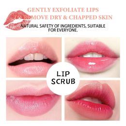 EELHOE Strawberry Lip Scrub, Moisturize Lips, Prevent Dry Crack, Moisturize Dead Skin, And Fade The Corners Of Lips (Quantity: 1pc)