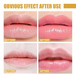 EELHOE Honey Lip Mask Moisturizing Exfoliating Lip Care Bee Lipstick (Quantity: 1pcs)